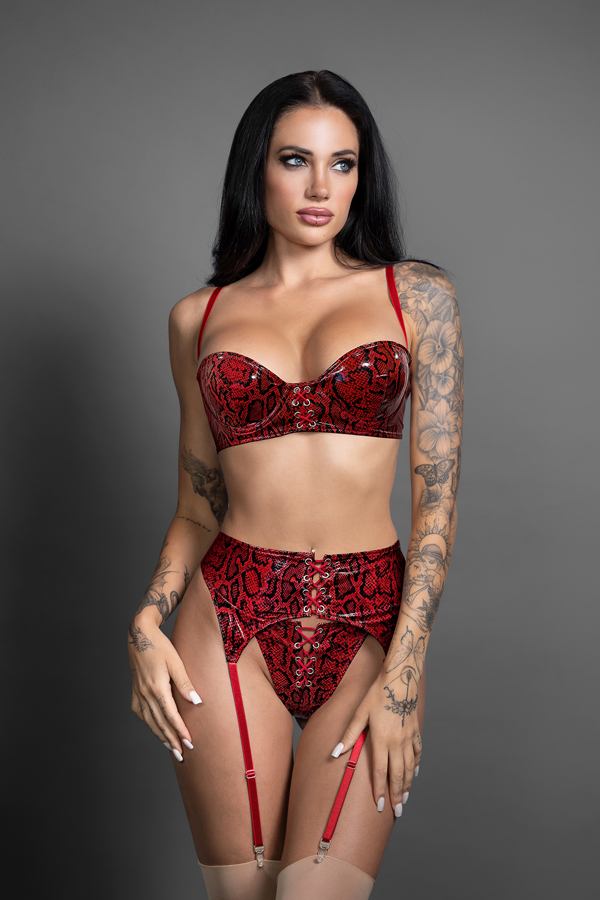 Lace-up Bra, Garter Belt & Panty