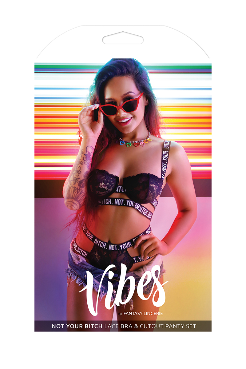 Dropship Vibes Not Your Bitch Lace Bra & Cutout Panty Black L/XL to  Sell Online at a Lower Price